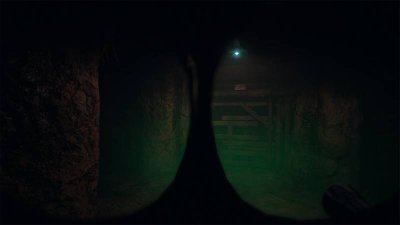 THE DESCENT